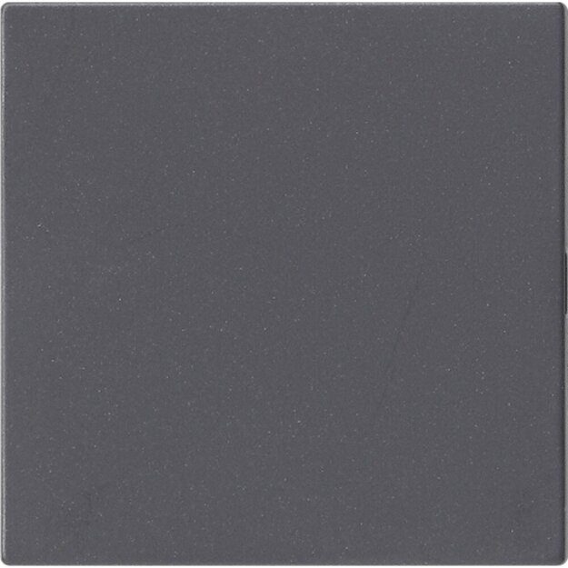 Gira 810828 Blindabd. o.Tragring System 55 Anthrazit