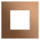Gira 5545921 Frontplatte für Gira Keyless In Fingerprintmodul System 106 Bronze