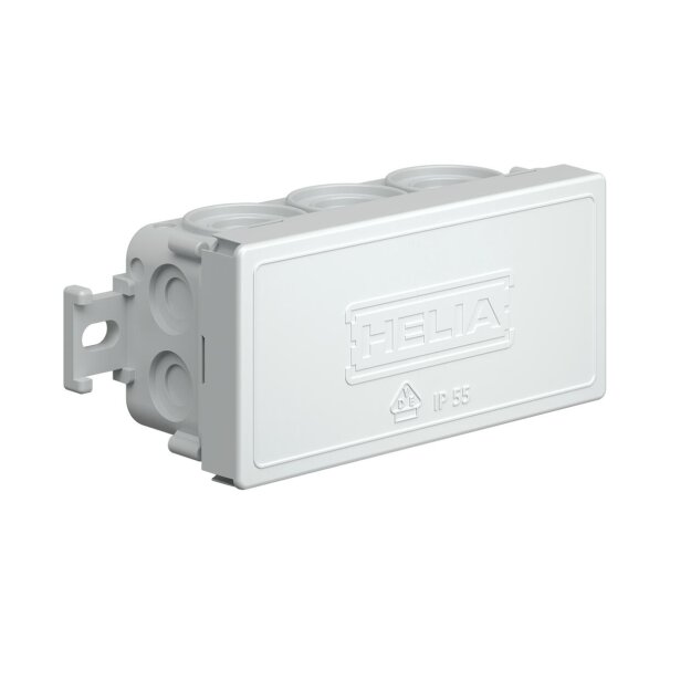 Kaiser 250 Kabelabzweigkasten IP55 mit Einführungen 4 x 12 mm 6 x 20 mm 89 x 42 x 37 mm grau RAL 7035