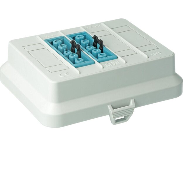 Kaiser AT6510 Steckbar Frontteil AK2 Wieland GST18 out: 2x5pol DALI blau 125x100x42 mm lichtgrau