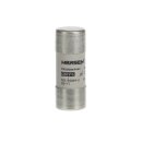ABB Stotz S&J E 9F22 GG40 Sicherung 22x58mm für...