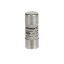ABB Stotz S&J E 9F22 GG40 Sicherung 22x58mm für...