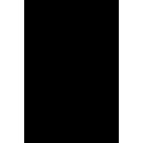 SLV 1006783 Numinos XS 48V Track Dali Pendelleuchte schwarz / schwarz 8.7W 690lm 3000K CRI90 55°