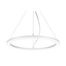 Brumberg 13932174 LED-Pendel-Ringleuchte D=1000mm, DALI,...