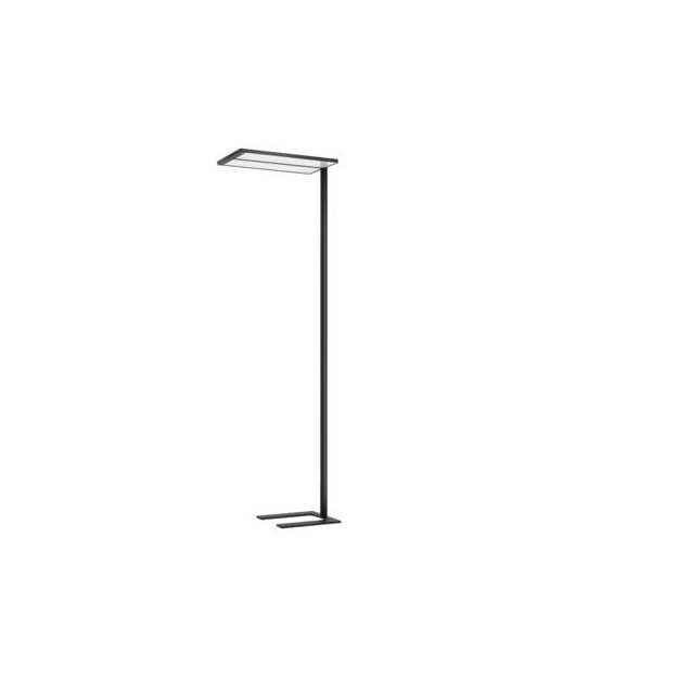 Brumberg 77412184AI LED-Stehleuchte 2-Kopf parallel breit
