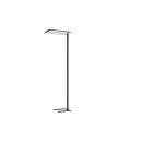 Brumberg 77412184MS LED-Stehleuchte 2-Kopf
