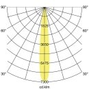 Brumberg 88271163DA LED-Einbaurichtstrahler