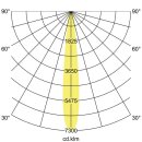 Brumberg 88271164DA LED-Einbaurichtstrahler