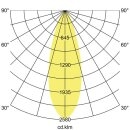 Brumberg 88803185 LED-Halbeinbau-Richtstrahler