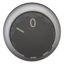 eaton Wahltaste RMQ-Titan mit Drehknopf tastend 2...