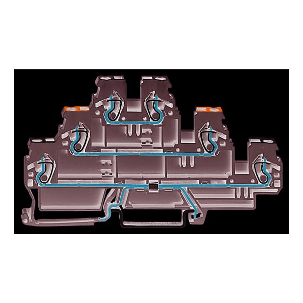 Wago 870-558 Dreistockklemme Schirmleiter-/Durchgangs-/Durchgangsklemme 2,5 mm² Schirmung/N/L für Tragschiene 35 x 15 und 35 x 7,5 CAGE CLAMP® 2,50 mm² grau