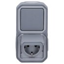 Legrand 069746L Plexo New FRAP SSDO+Wechselschalter horizontal & vertikal SL,EB, IP44 IK08, Grau
