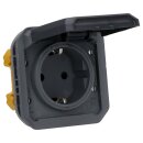 Legrand 069839L Plexo New Einsatz Schutzkontakt-Steckdose, SL, EB, IP44, IK 08, Anthrazit