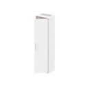 Striebel 2CPX052030R9999 A17 Wandschrank leer 1FB 7-reihig