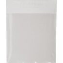 Striebel 2CPX038227R9999 ZA6 Plantasche A4 selbstklebend...