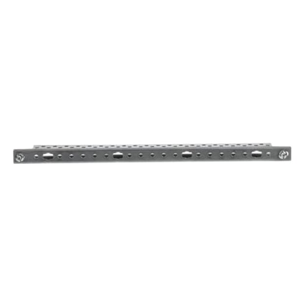 Striebel 2CPX039208R9999 ED8 EDF-Profilschiene 2RE (300mm) Vertikal lose Lieferung