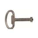 Striebel 2CPX060660R9999 ZH160 Schlüssel 3mm...