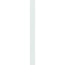 Striebel 2CPX052504R9999 CZB219 Schottwand vertikal 9R