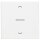 Jung Home Jalousietaster-Set 1723NE Nebenstellet + BTLS17101PWW Wippe Alpinweiß