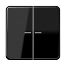 JUNG HOME Tastdimmer Standard + BTCD17102BFSW Taster...