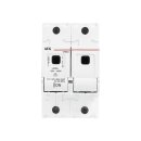 AEG LD022+ Sich.-Lasttrennschalter D02 2 polig  63A 2CDE102005R1905