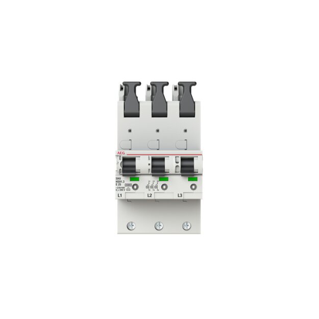 AEG HS91.3E25SAV Sel. Hauptleitungsschutzschalter SHU 25kA E-Char.25kA25A3x1P 2CDS781055R4252