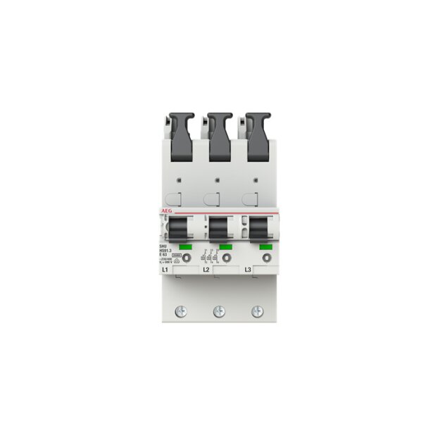AEG HS91.3E63SAV Sel. Hauptleitungsschutzschalter SHU 25kA E-Char.25kA63A3x1P 2CDS781055R4632