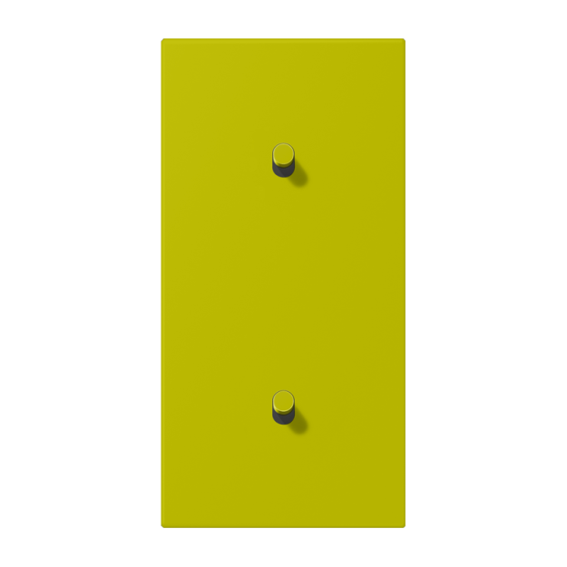Jung LC12-20R0249 Abdeckung 2fach senkrecht mit 1+1 Kipphebeln
