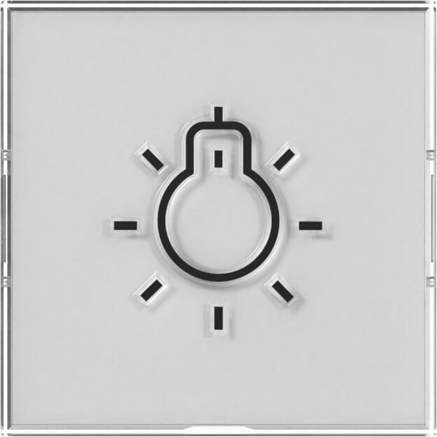 Gira 321600 Wippe BSF + Symbol Licht groß tastbar System 55 Farbneutral