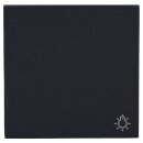 Gira 328528 Wippe Symbol Licht System 55 Anthrazit