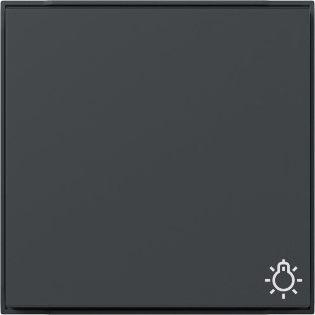 Gira 328567 Wippe Symbol Licht TX 44 (WG UP) Anthrazit