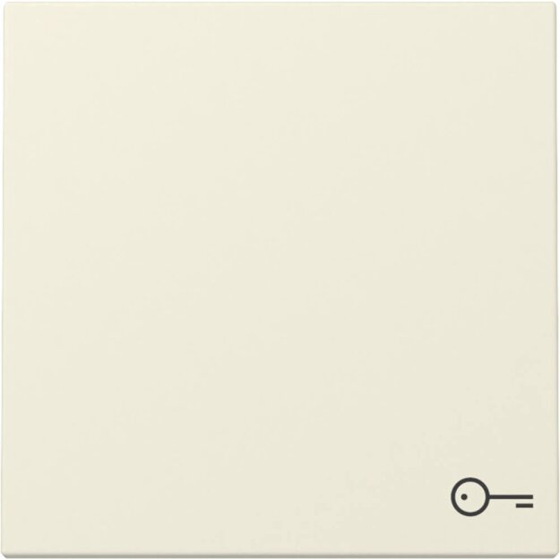 Gira 328701 Wippe Symbol T&uuml;r System 55 Cremewei&szlig;