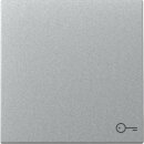 Gira 328726 Wippe Symbol Tür System 55 Aluminium