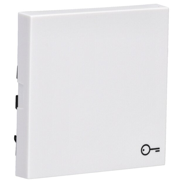 Gira 328727 Wippe Symbol Tür System 55 Reinweiß matt