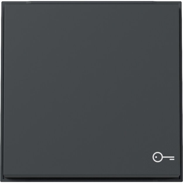 Gira 328767 Wippe Symbol Tür TX 44 (WG UP) Anthrazit