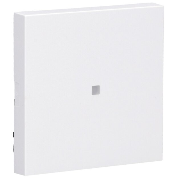 Gira 329003 Wippe Kontrollfenster System 55 Reinwei&szlig;