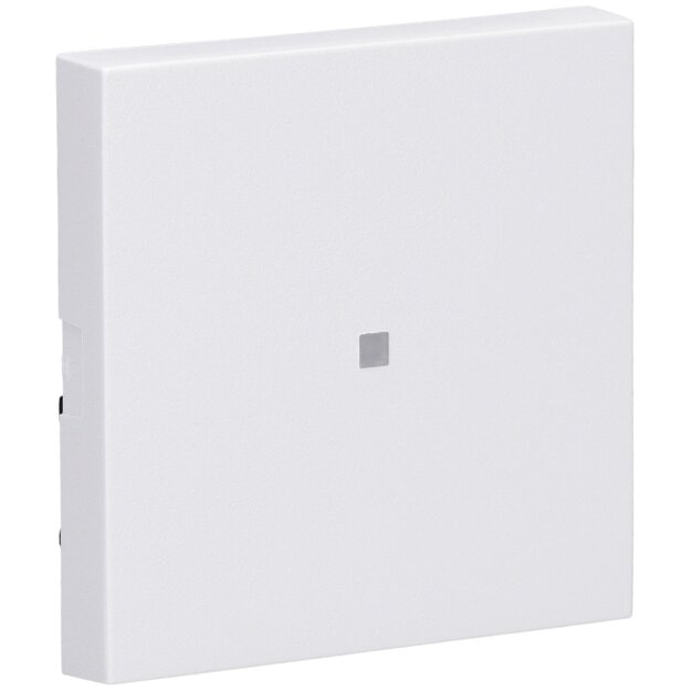 Gira 329027 Wippe Kontrollfenster System 55...