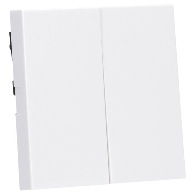 Gira 329503 Wippe 2f System 55 Reinweiß