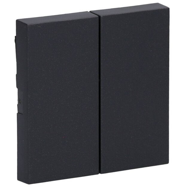 Gira 329528 Wippe 2f System 55 Anthrazit
