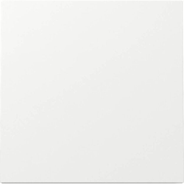 Gira 329670 Wippe Flächenschalter Reinweiß