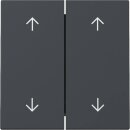Gira 329728 Wippe 2f Pfeile System 55 Anthrazit