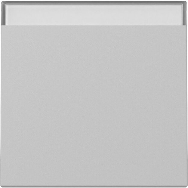 Gira 329901 Wippe BSF System 55 Cremeweiß