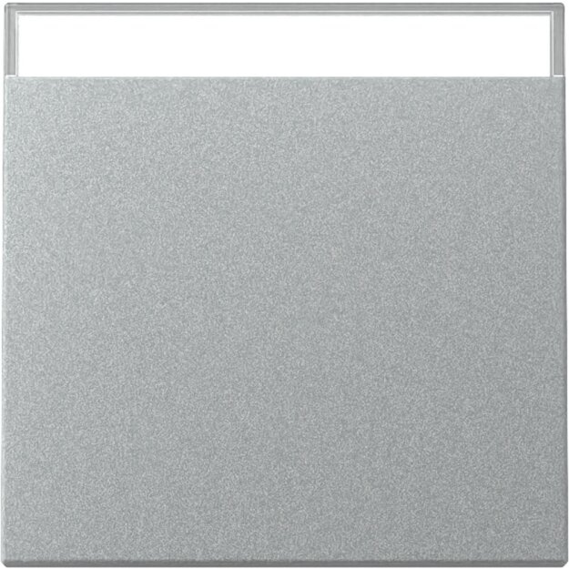 Gira 329926 Wippe BSF System 55 Aluminium