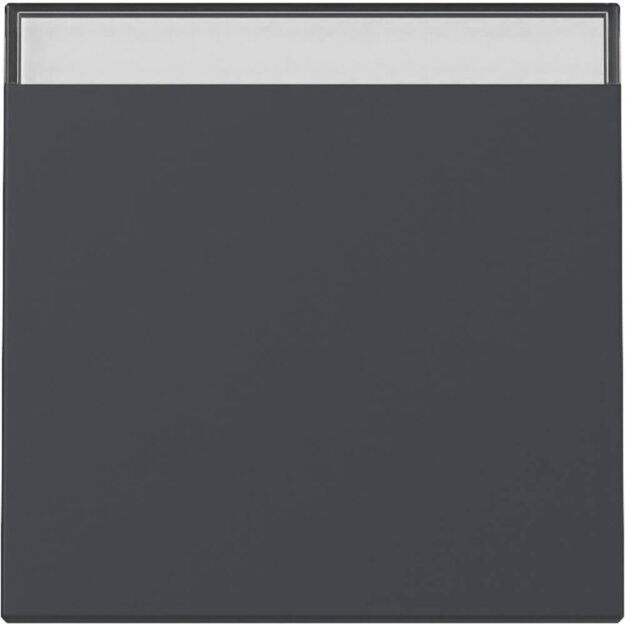 Gira 329928 Wippe BSF System 55 Anthrazit
