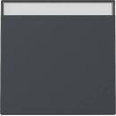 Gira 329928 Wippe BSF System 55 Anthrazit