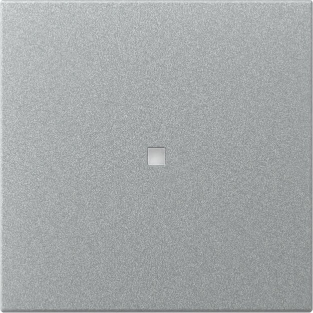 Gira 349026 Wippe gerade Kontrollfenster System 55 Aluminium
