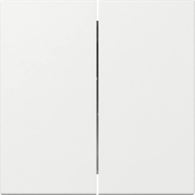 Gira 349503 Wippe 2f gerade System 55 Reinweiß