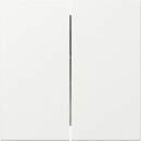 Gira 349527 Wippe 2f gerade System 55 Reinweiß matt