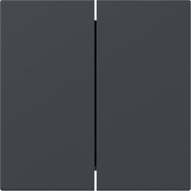 Gira 349528 Wippe 2f gerade System 55 Anthrazit