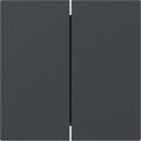 Gira 349528 Wippe 2f gerade System 55 Anthrazit